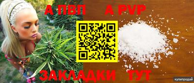 шишки Краснодар