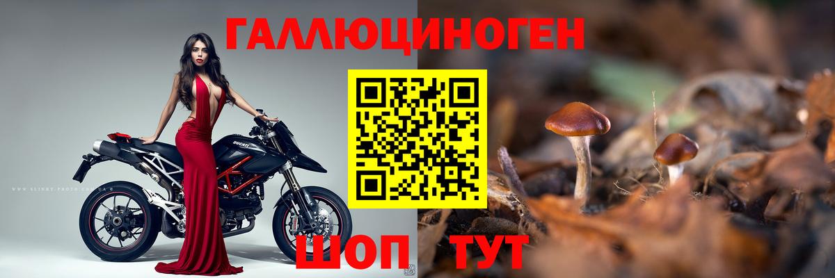 Псилоцибиновые грибы мухоморы  Вход с VPN  Галлюциногенные грибы ЛСД  продажа наркотиков  Камень-на-Оби 